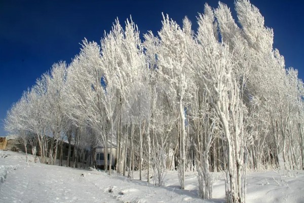 2025 KIŞ GÜNDÖNÜMÜ TAKVİMİ | En uzun gece ne zaman? Günler hangi tarihte uzamaya başlıyor?